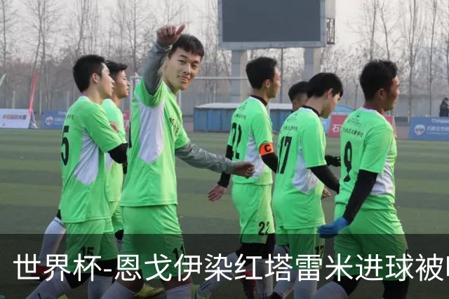 世界杯-恩戈伊染红塔雷米进球被吹 10人比利时0-0伊朗